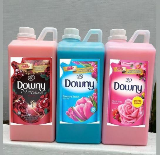 DOWNY PEWANGI 1 LITER BOTOL REPACK